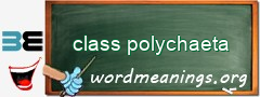 WordMeaning blackboard for class polychaeta